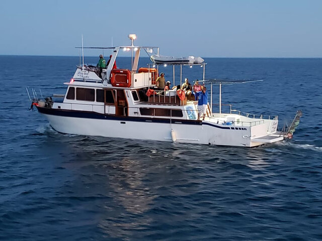 Listing image 424196