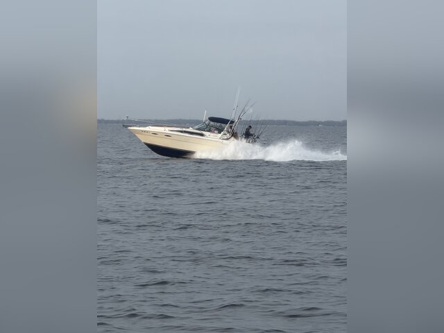 Listing image 1378749