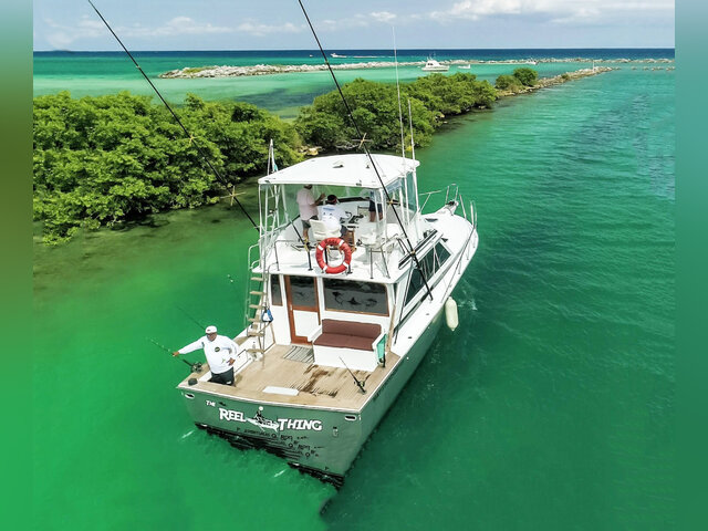 Listing image 302254