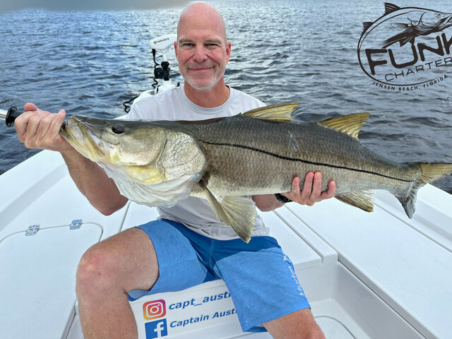 Listing image 788191