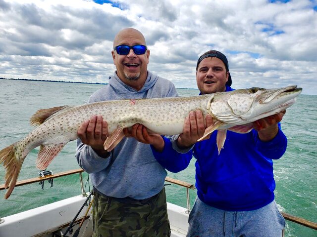 Listing image 406367