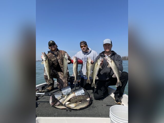 Listing image 669966