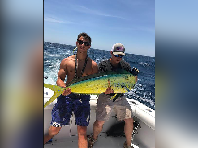 Listing image 305453