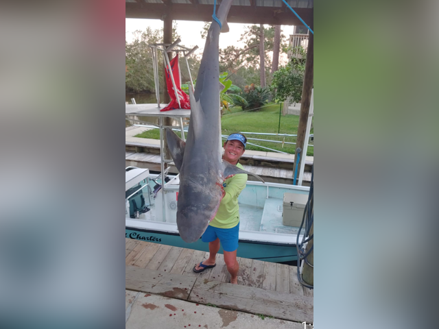 Listing image 555190