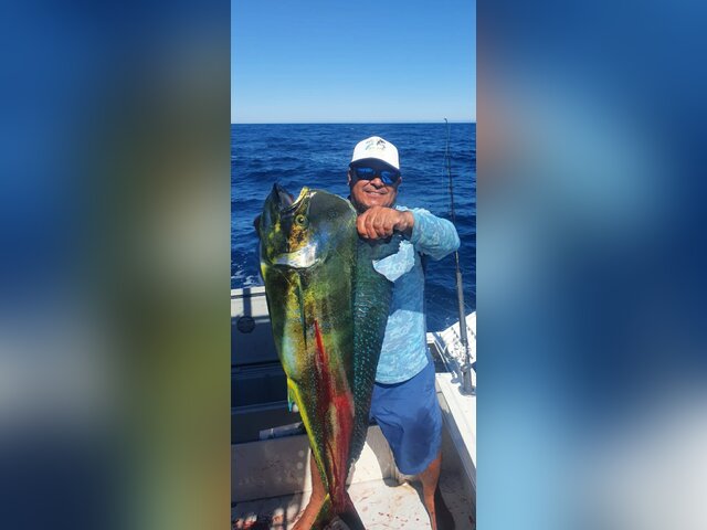 Listing image 649114