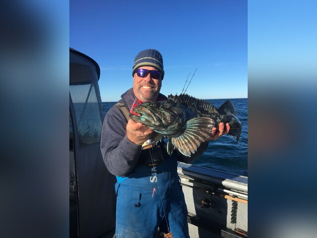 Listing image 420949