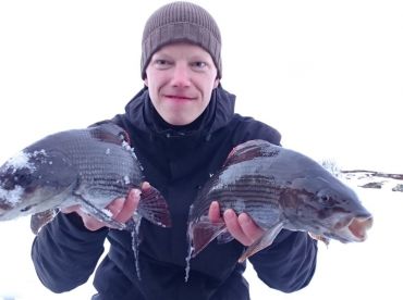 Galddoaivi Safaris – Frozen Sea