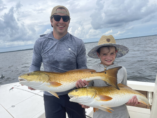 Listing image 1195874