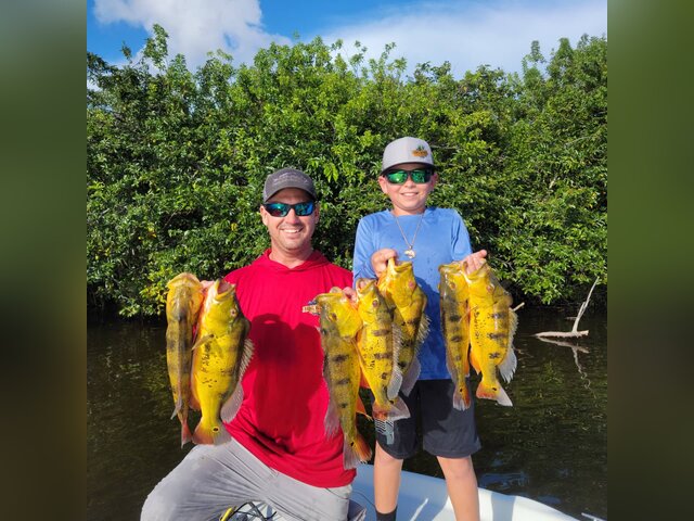 Listing image 651819