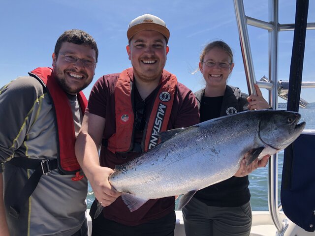 Listing image 447882