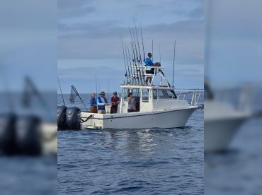 Pelican Sportfishing thumbnail