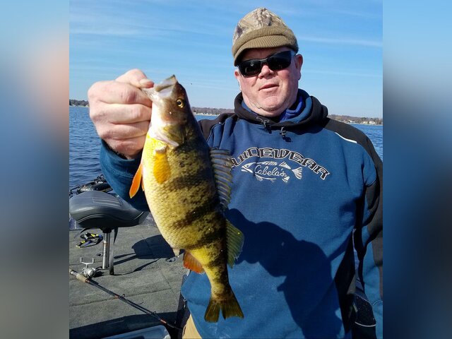 Listing image 312918