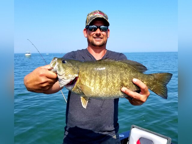 Listing image 441967