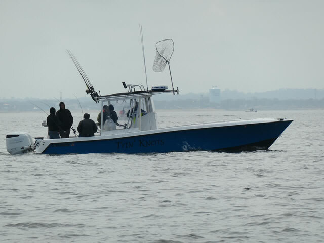 Listing image 1151207