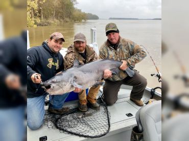 Fish Memphis Guide Service thumbnail