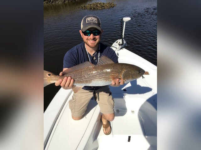 Listing image 317759