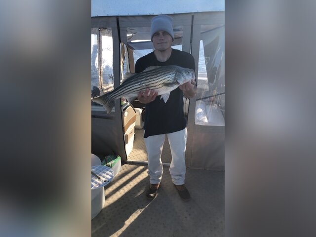 Listing image 318284