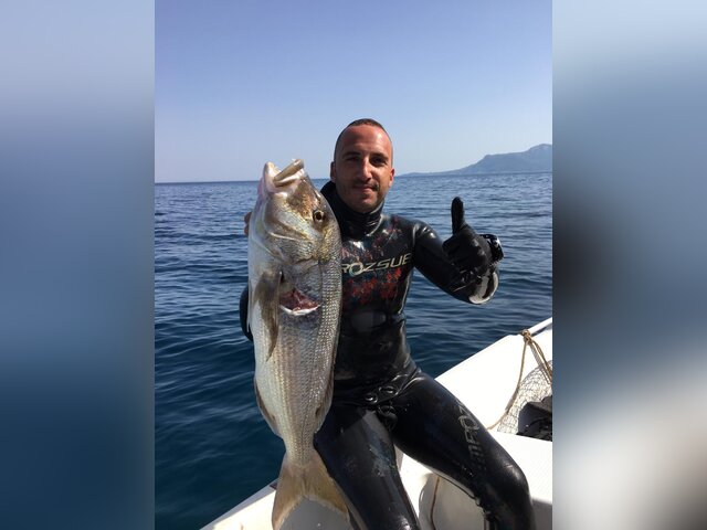 Listing image 318676