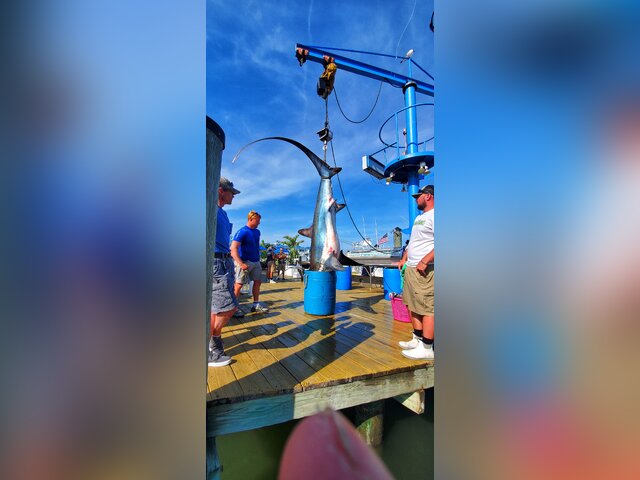 Listing image 712430