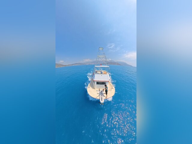 Listing image 1236085