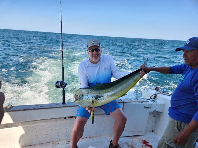 Listing image 854343