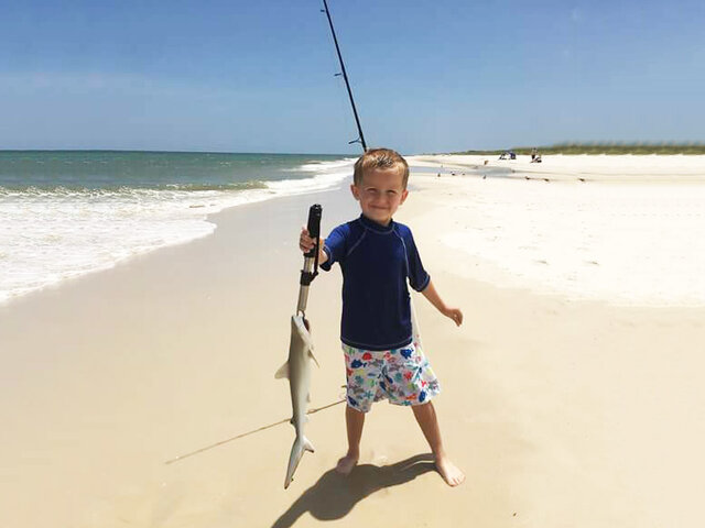 Listing image 322473