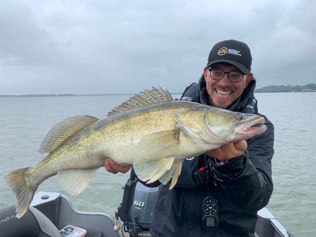 Listing image 1143910