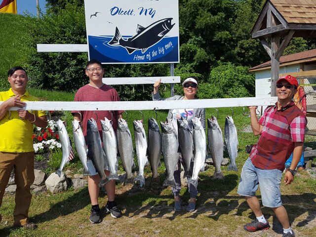 Listing image 358486