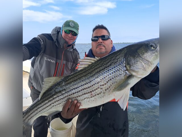 Listing image 886361