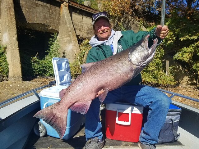 Listing image 323639