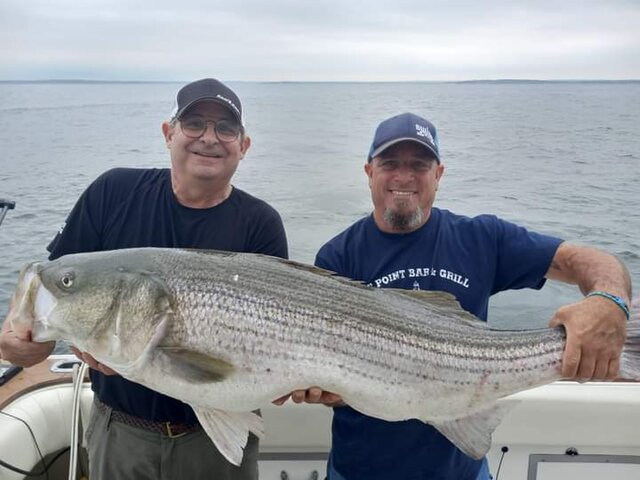 Listing image 788032