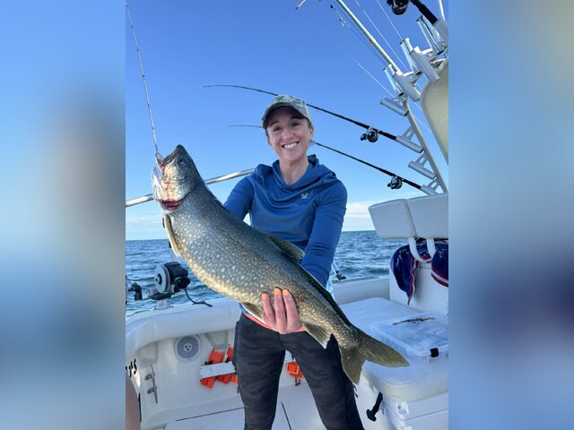 Listing image 1050708