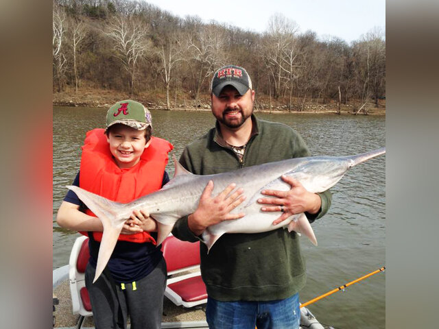 Listing image 325813