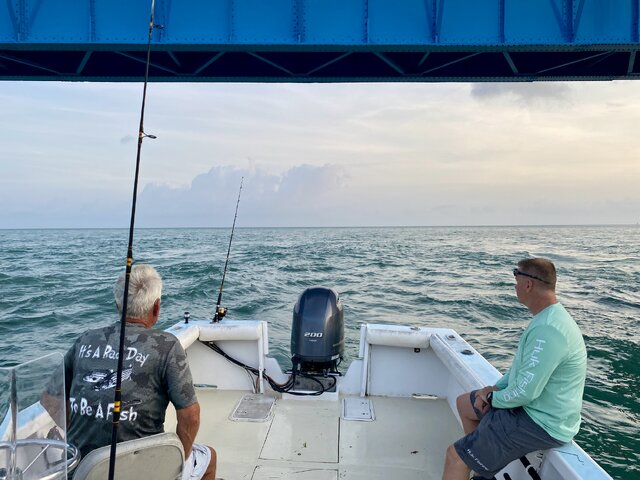 Listing image 849913