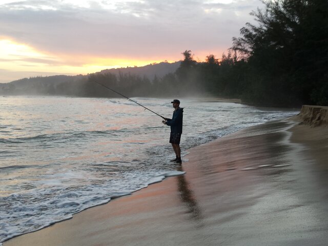 Listing image 325739