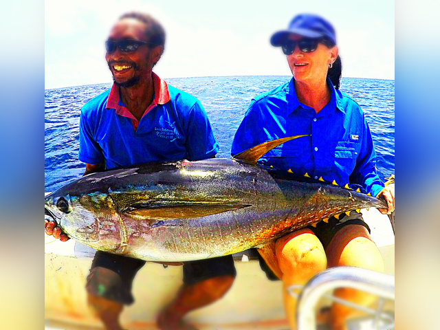 Listing image 328933