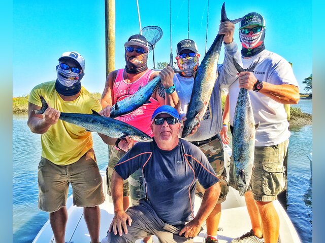 Listing image 328896