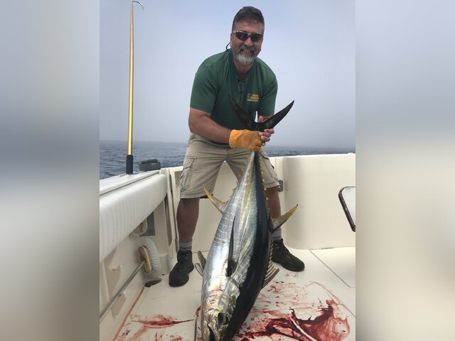 Listing image 403769