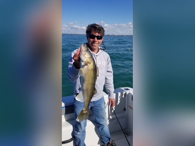 Listing image 696391