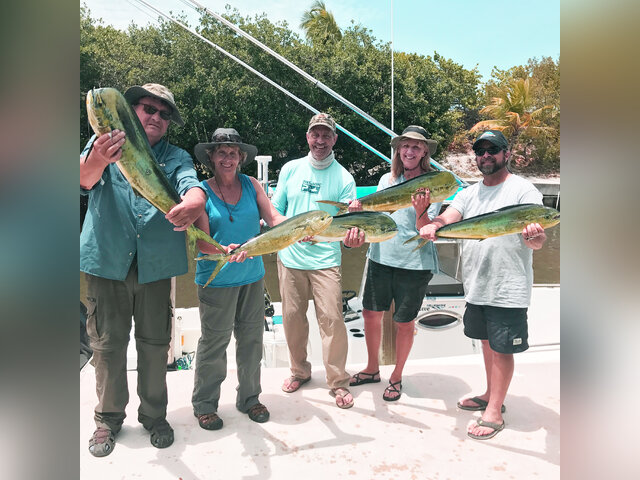 Listing image 334501