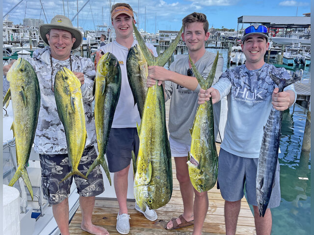 Listing image 940690