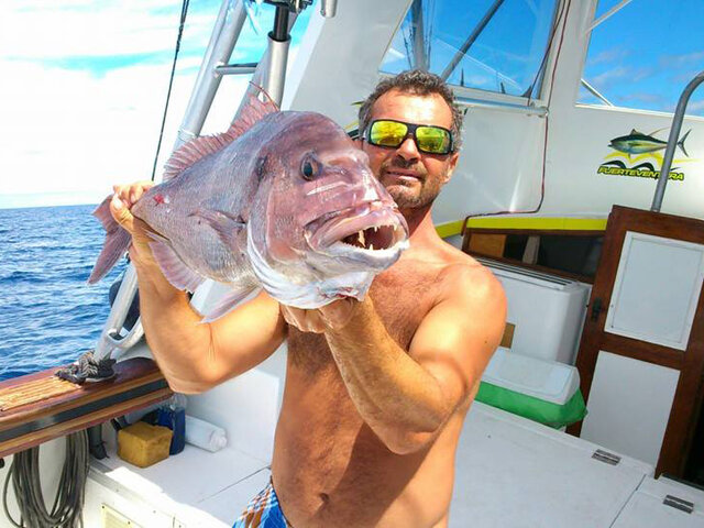 Listing image 360678