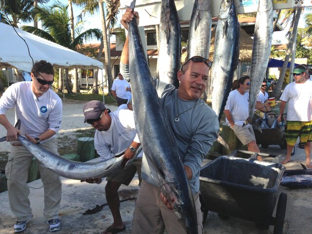 Listing image 332125