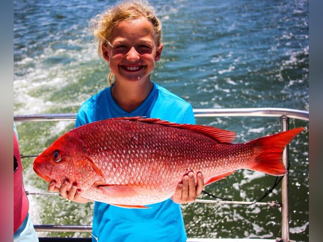 Listing image 1155219