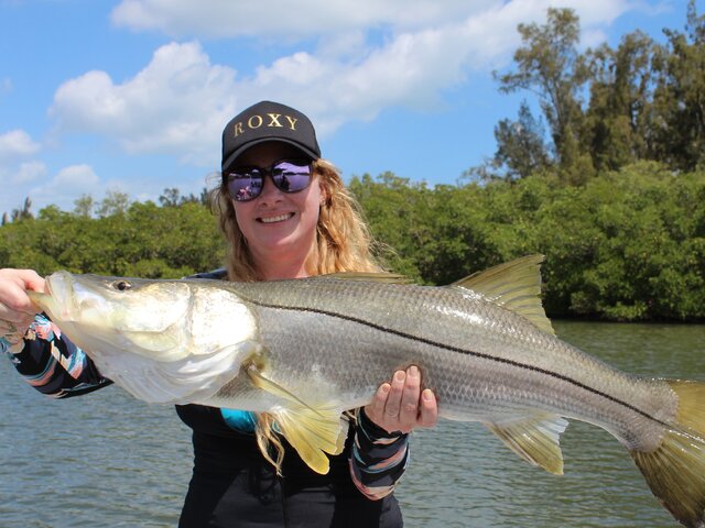 Listing image 835831