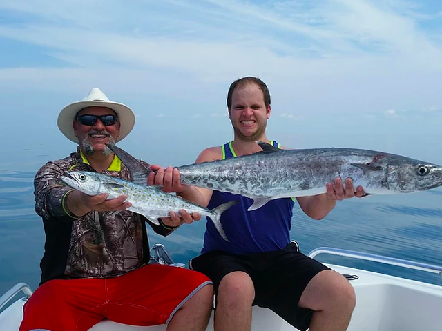 Listing image 347793