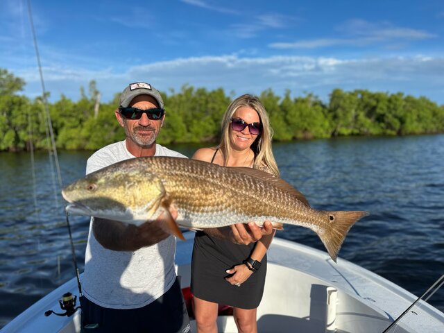 Listing image 1257270