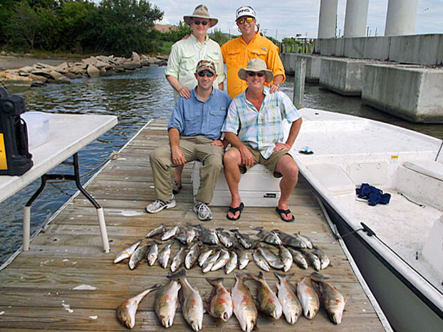 Listing image 339184