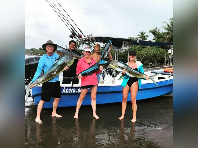 Listing image 361554