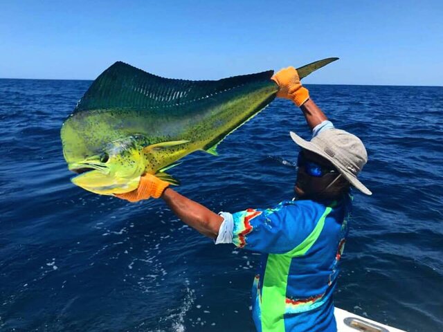 Listing image 342676